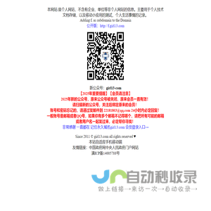 飞G网