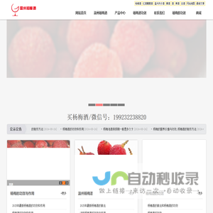 【杨梅酒】杨梅酒的功效和作用_杨梅酒的做法_温州杨梅酒